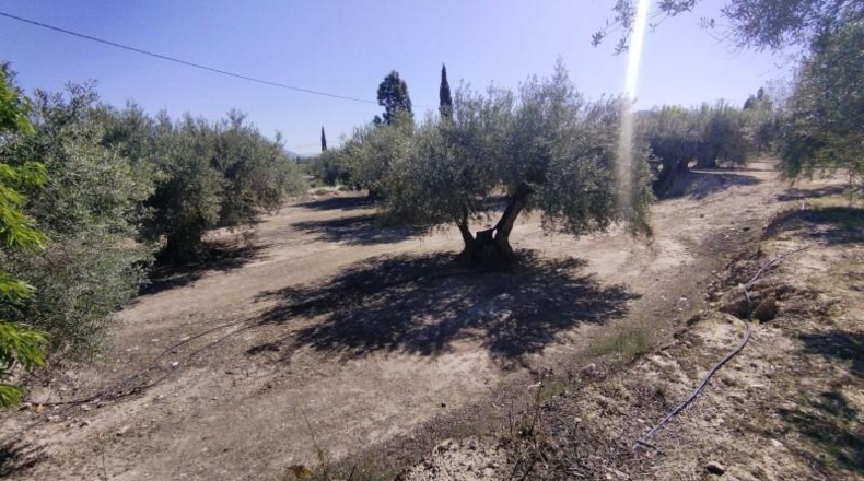 Múrcia - Calasparra - 13622m2