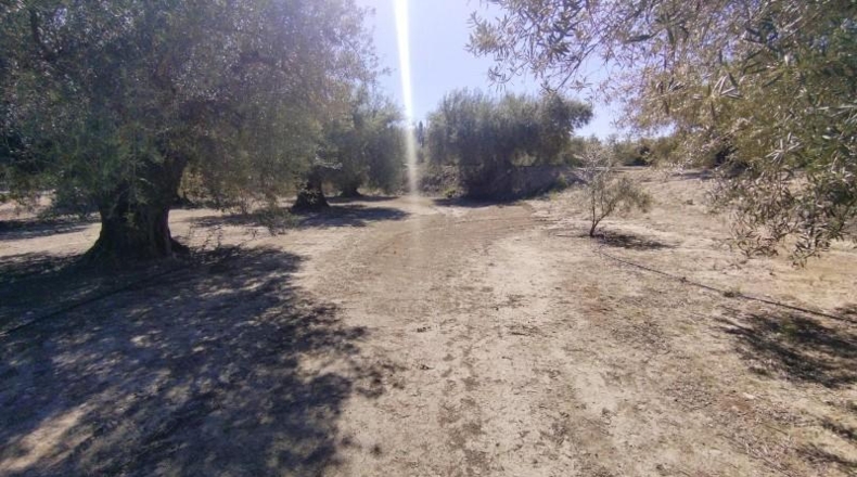 Múrcia - Calasparra - 13622m2