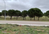 Land suitable for development for sale on España, León, ref: TR242858 photo