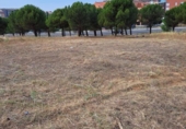 Land suitable for development for sale on España, León, ref: TR242858 photo