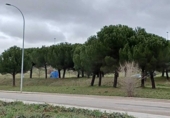 Land suitable for development for sale on España, León, ref: TR242858 photo
