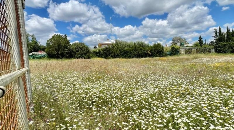 Sevilla - Castilblanco de los Arroyos - 2000m2