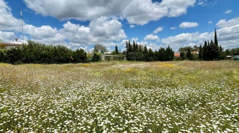 Sevilla - Castilblanco de los Arroyos - 2000m2