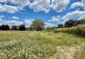 Terreny no urbanitzable en venda a la España, Castilblanco de los Arroyos, ref.: TR282253 foto