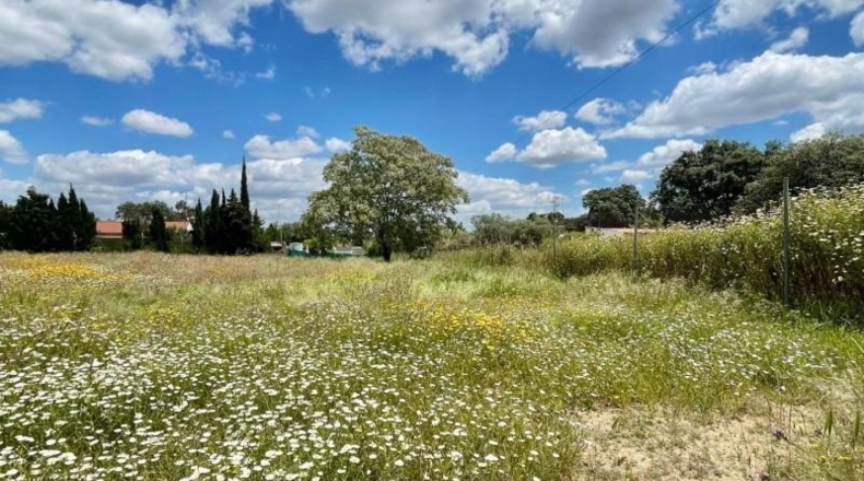 Sevilla - Castilblanco de los Arroyos - 2000m2
