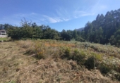 Sòl urbà en venda a la España, Pazos de Borbén, ref.: TR356793 foto