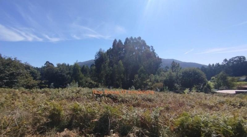 Pontevedra - Pazos de Borbén - 1235m2
