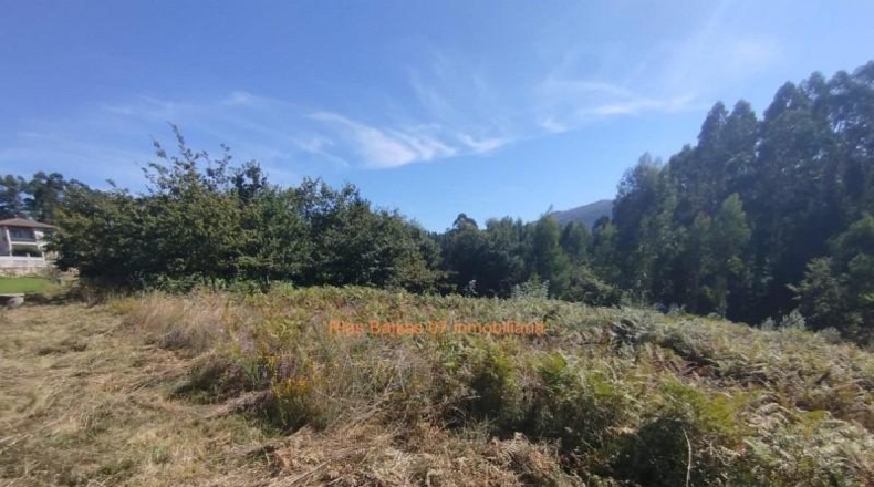 Понтеведра - Pazos de Borbén - 1235m2