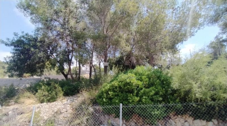 Castellon - Moncófar - 840m2