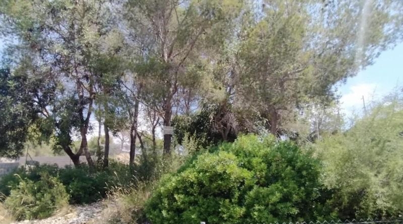 Castellon - Moncófar - 840m2