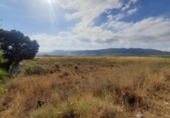 Non-developable land for sale on España, Salinas, ref: TR119862 photo