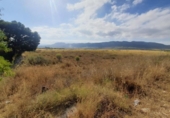 Non-developable land for sale on España, Salinas, ref: TR119862 photo