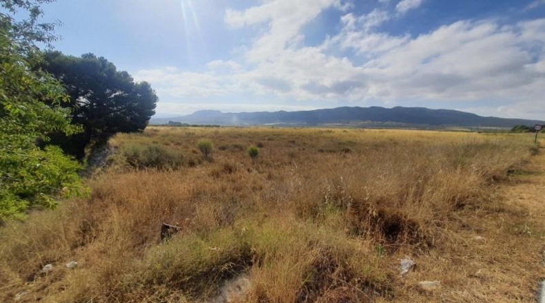 Alicante - Salinas - 12458m2