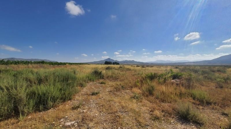 Alicante - Salinas - 12458m2