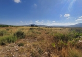 Non-developable land for sale on España, Salinas, ref: TR119862 photo