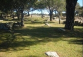 Non-developable land for sale on España, Cebreros, ref: TR112885 photo