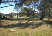 Non-developable land for sale on España, Cebreros, ref: TR112885 photo