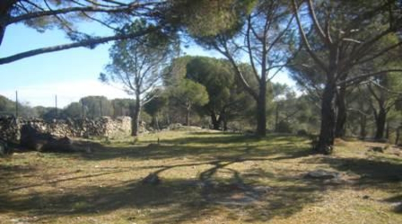 Ávila - Cebreros - 25122m2