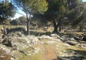 Non-developable land for sale on España, Cebreros, ref: TR112885 photo