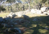 Non-developable land for sale on España, Cebreros, ref: TR112885 photo