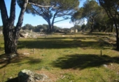 Non-developable land for sale on España, Cebreros, ref: TR112885 photo