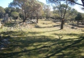 Non-developable land for sale on España, Cebreros, ref: TR112885 photo