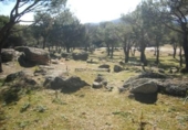 Non-developable land for sale on España, Cebreros, ref: TR112885 photo