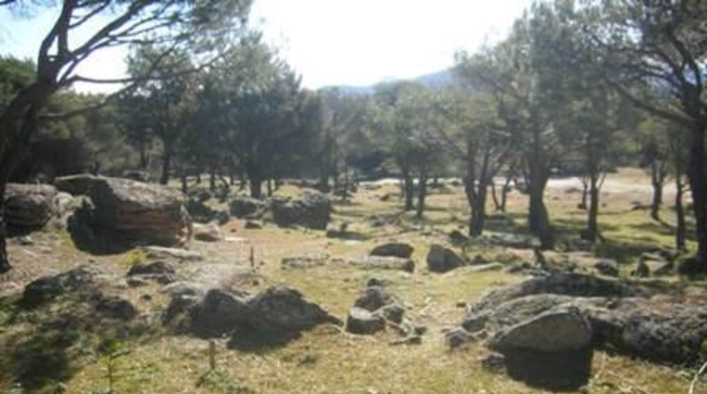 Ávila - Cebreros - 25122m2