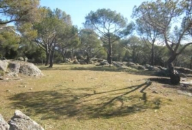 Cebreros 25122&nbsp;m² 