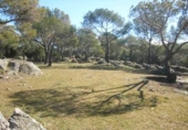 Non-developable land for sale on España, Cebreros, ref: TR112885 photo