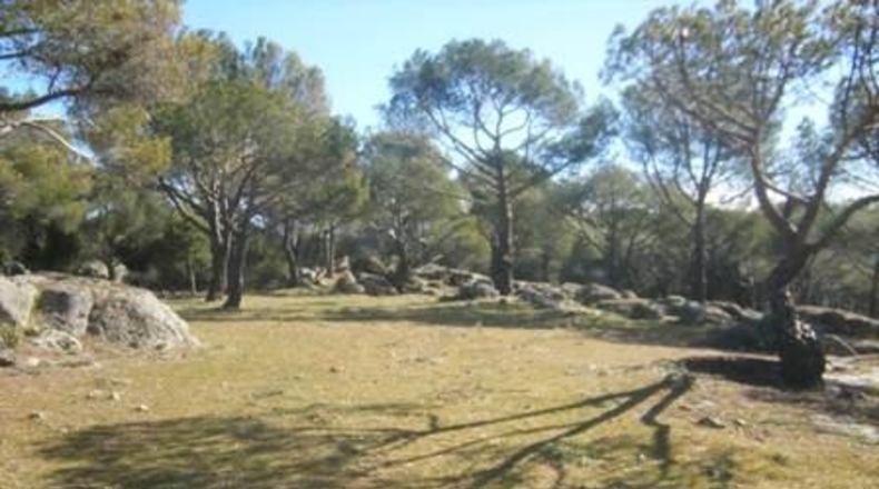 Ávila - Cebreros - 25122m2