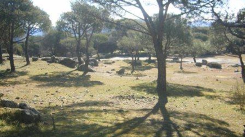 Ávila - Cebreros - 25122m2