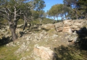 Non-developable land for sale on España, Cebreros, ref: TR112885 photo