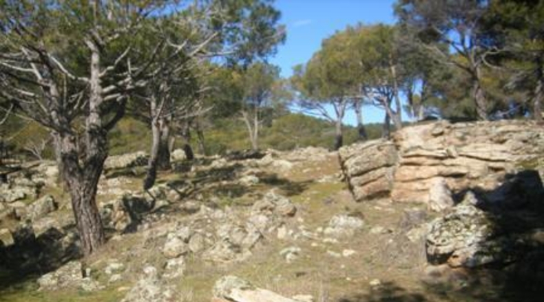 Ávila - Cebreros - 25122m2