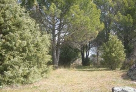 Cebreros 25122&nbsp;m² 