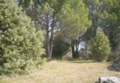 Non-developable land for sale on España, Cebreros, ref: TR112885 photo