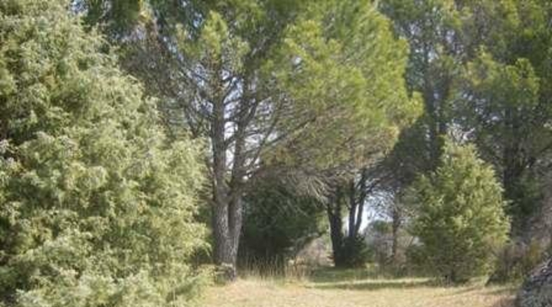 Ávila - Cebreros - 25122m2