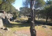 Non-developable land for sale on España, Cebreros, ref: TR112885 photo