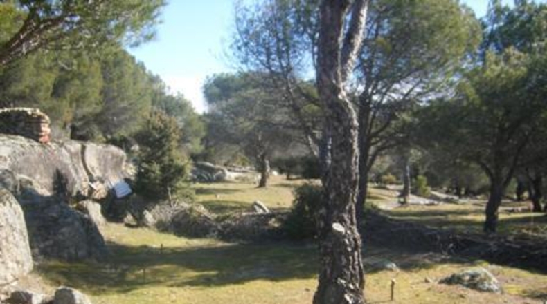 Ávila - Cebreros - 25122m2