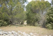 Non-developable land for sale on España, Cebreros, ref: TR112885 photo