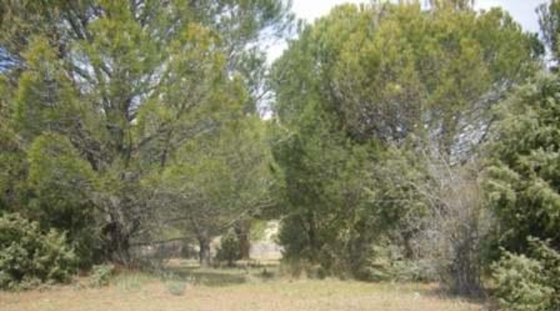Ávila - Cebreros - 25122m2