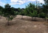 Terreno no urbanizable en venta en la España, Xàtiva, ref: TR247929 foto