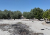 Terreno no urbanizable en venta en la España, Molina de Segura, ref: TR248206 foto