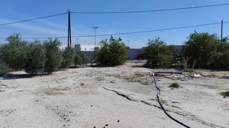 Murcia - Molina de Segura - 1819m2