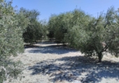 Terreno no urbanizable en venta en la España, Molina de Segura, ref: TR248206 foto
