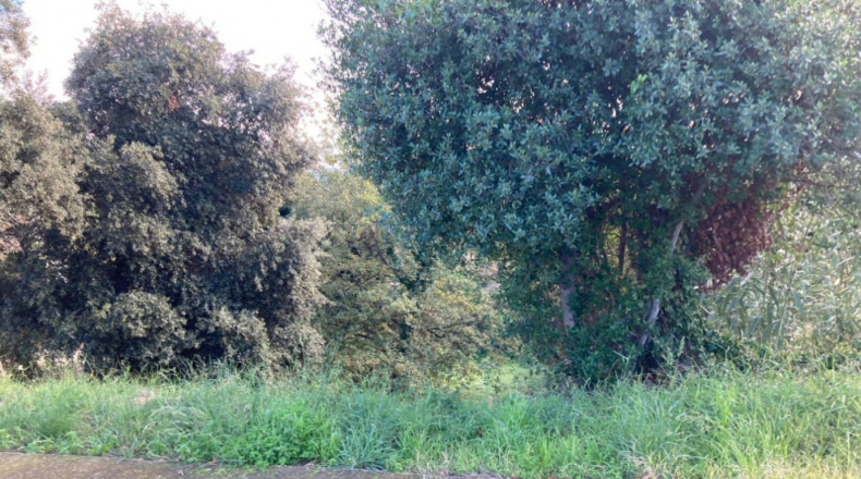 Barcelona - Tordera - 836m2