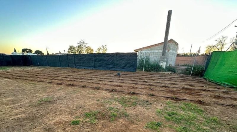 Seville - Alcalá de Guadaíra - 500m2