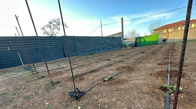 Seville - Alcalá de Guadaíra - 500m2