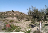 Terreny no urbanitzable en venda a la España, Bullas, ref.: TR114706 foto