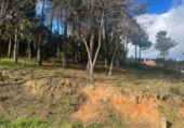 Земля, подлежащая урбанизации на продажу у города El Tiemblo Фото